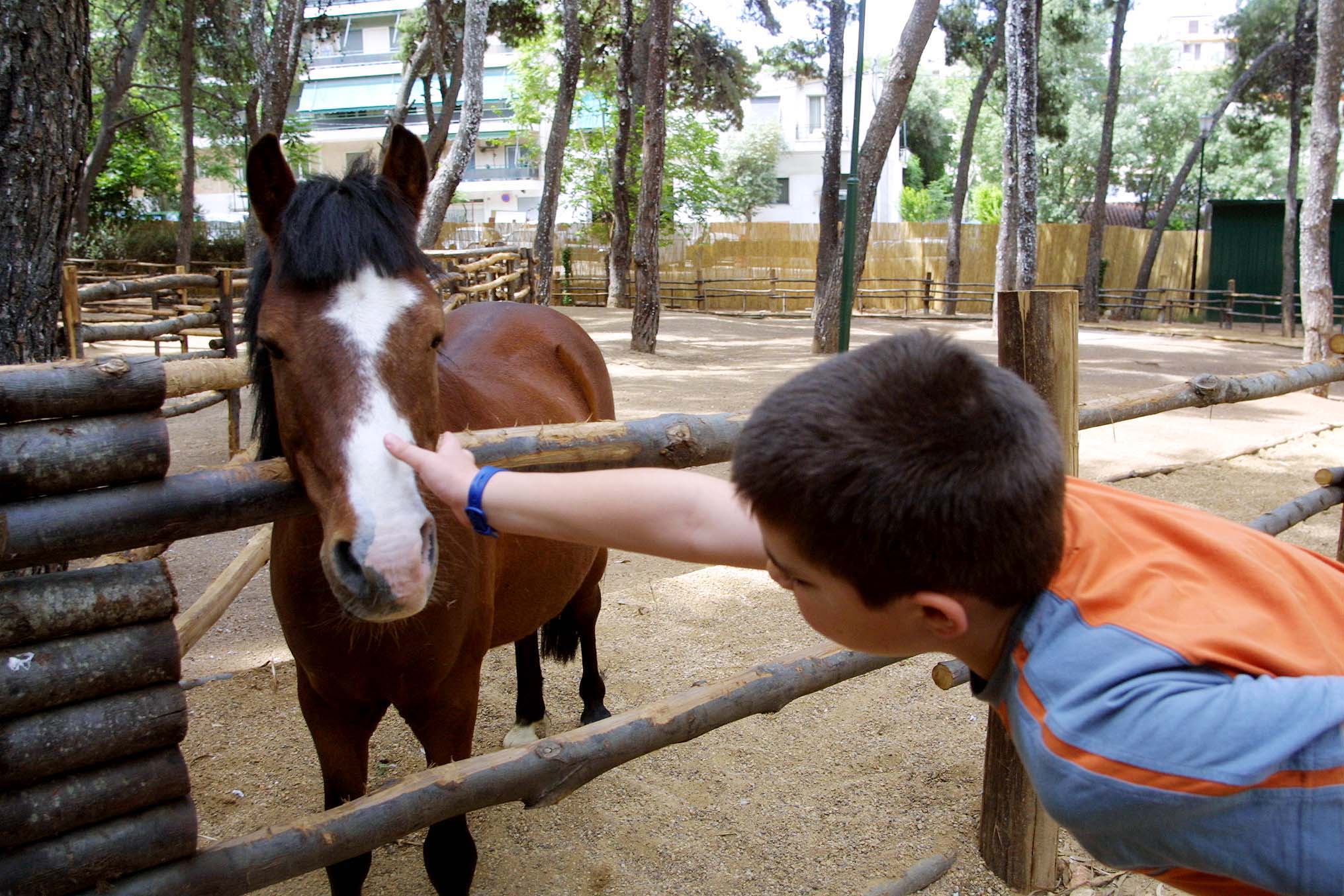 Τα κατοικίδια δίνουν μαθήματα ζωής