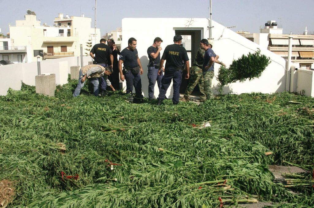 Δενδρύλλια κάνναβης στις φυλακές Κασσάνδρας