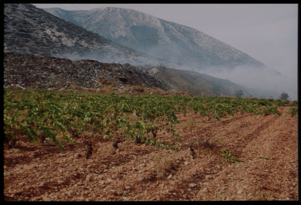 Κατάργηση ΕΦΚ στο κρασί πριν την έναρξη του τρύγου ζητούν οι παραγωγοί