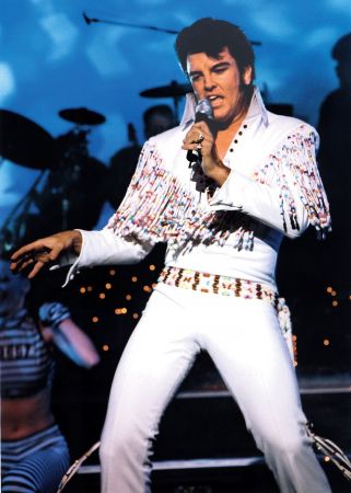 Σε δημοπρασία αντικείμενα του Έλβις την ημερα των γενεθλίων του