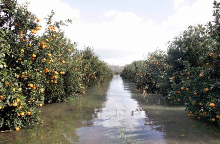 Δέκα φορείς για την προστασία της ελληνικής φύσης