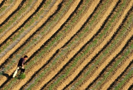 Τι δεν έκαναν οι αγρότες για να σωθούν