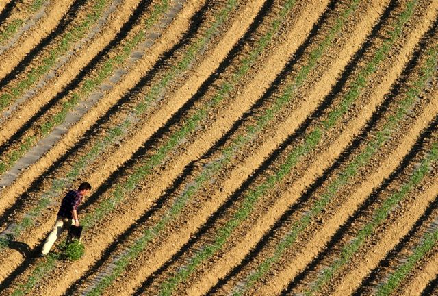 Τι δεν έκαναν οι αγρότες για να σωθούν