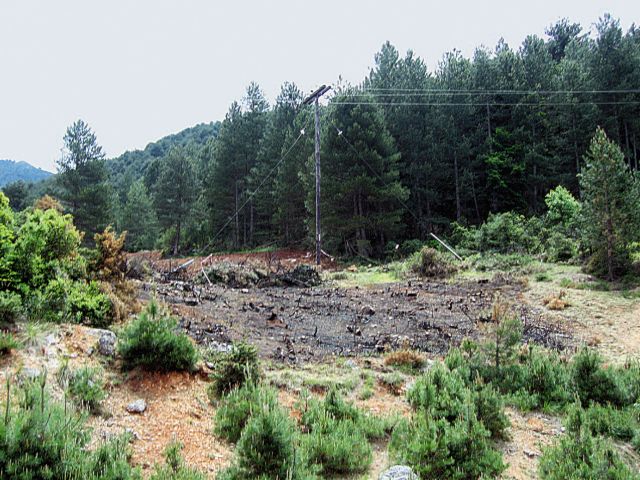 45.000 και πλέον υπογραφές για την απόσυρση νομοσχεδίου για τα δάση