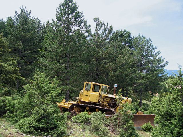 Οι πολίτες «φρέναραν» την καταστροφή δασών