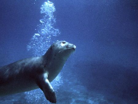 Βουτιά στα περασμένα στο Μουσείο Ακροπόλεως