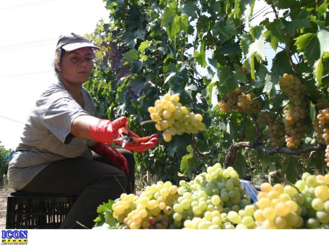 Από το εργαστήριο στο χωράφι:Λύσεις σε προβλήματα του αγροτικού τομέα