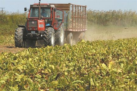 Στον αέρα η ΕΒΖ και η εφετινή σοδειά των τεύτλων