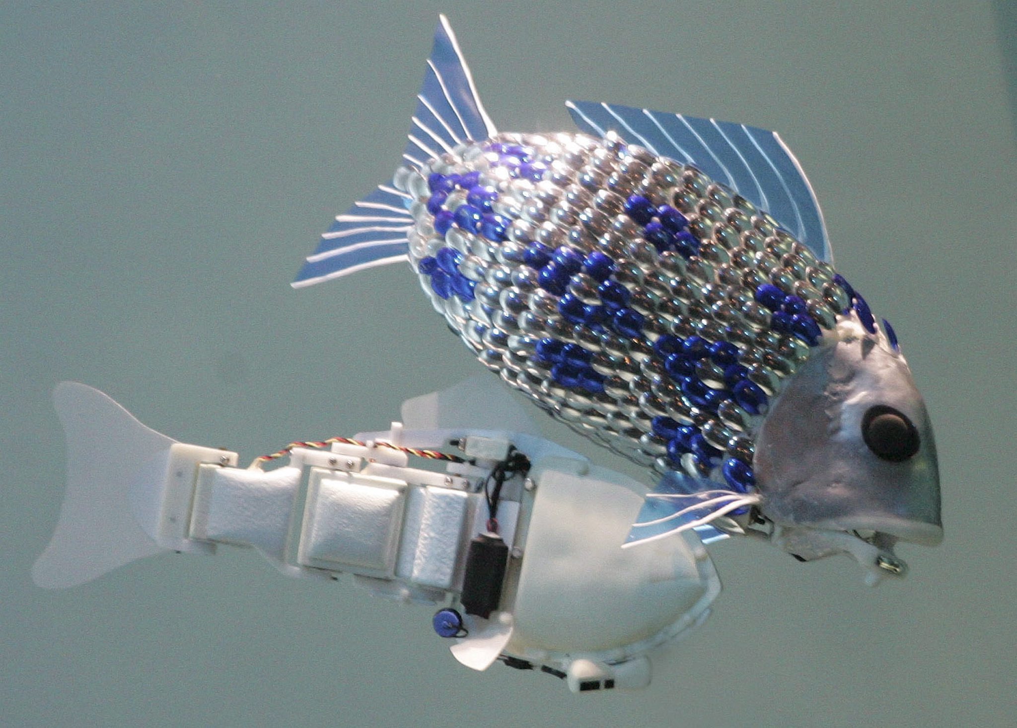 Ψάρια – ρομπότ φύλακες άγγελοι θαλασσίων ειδών