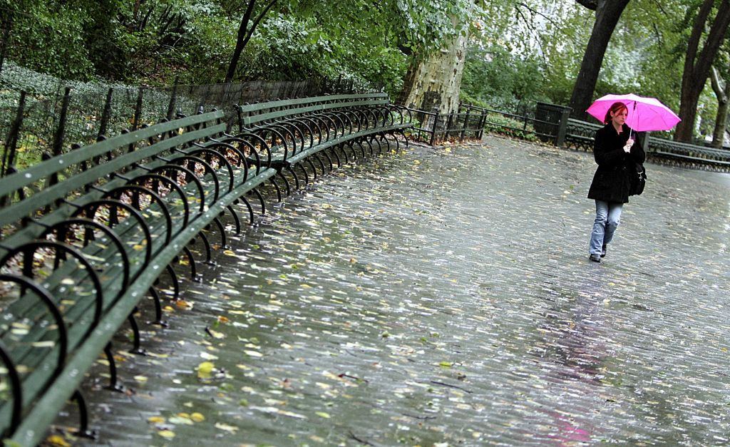 Παρελθόν τα αυτοκίνητα στο Σέντραλ Παρκ