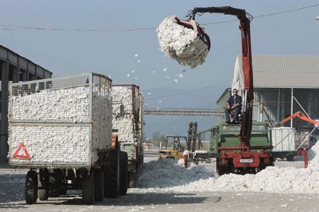 Η τουρκική κρίση απειλεί το ελληνικό βαμβάκι