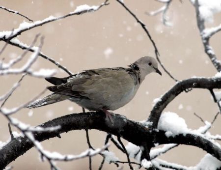 Επιδείνωση του καιρού από το απόγευμα της Πέμπτης