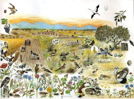 Στα Χανιά το θερινό σχολείο στην περιβαλλοντική δημοσιογραφία