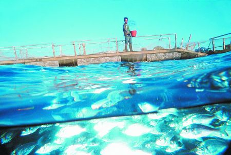 Σελόντα: Ολοκληρώθηκε η κάλυψη της αύξησης κεφαλαίου €50,4 εκατ.