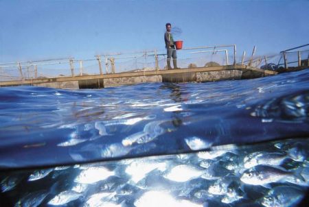 Από τον «Δία»αρχίζει η αναδιάρθρωση στα ψάρια