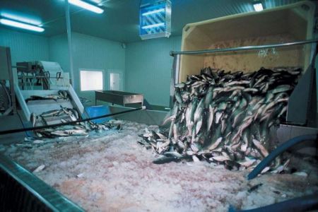 Νηρέας και Σελόντα βγαίνουν ξανά στον αφρό της ιχθυοκαλλιέργειας