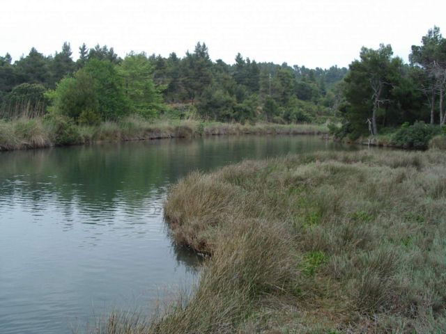 Δίχτυ προστασίας για μικρούς υγροτόπους και λίμνη Καστοριάς | tovima.gr