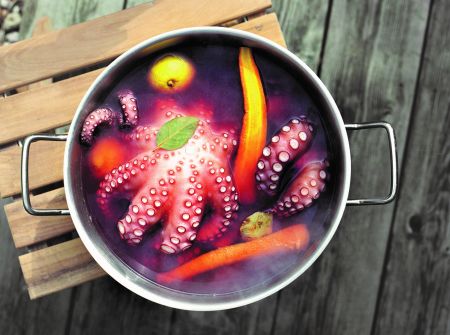 Χταπόδι «au vin»