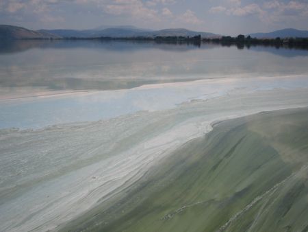 Εχασε τη μάχη για τη ζωή 24χρονος κωπηλάτης του Ναυτικού Ομίλου Ιωαννίνων