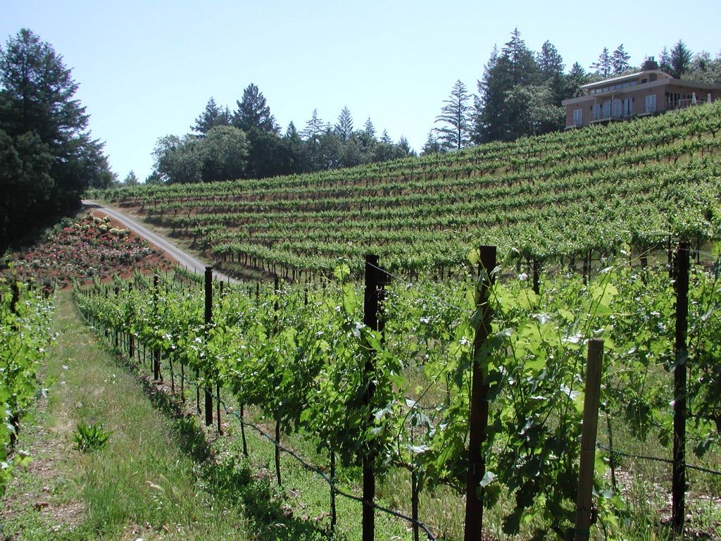 Κλείνουν οι παραγωγοί τα οινοποιεία τη Δευτέρα