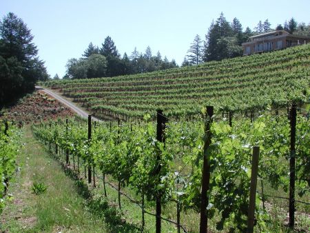 Κλείνουν οι παραγωγοί τα οινοποιεία τη Δευτέρα