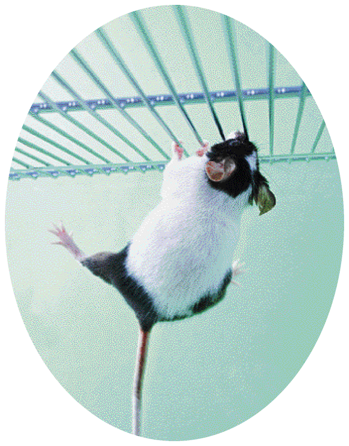 Ανθρωποι και ΠΟΝΤΙΚΙΑ!