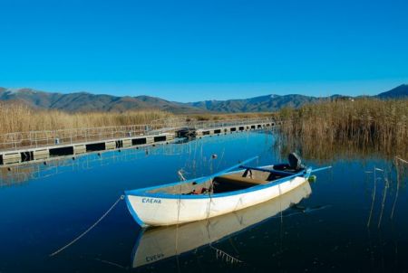 Σεσημασμένος ο Αλβανός που σκότωσε τον αστυνομικό στη Φλώρινα