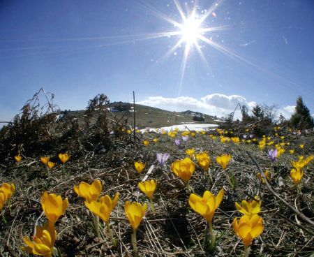 «Γλυκαίνει» ο καιρός – Ανεβαίνει λίγο η θερμοκρασία