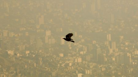 Η ατμοσφαιρική ρύπανση «εγκυμονεί» ανωμαλίες των εμβρύων