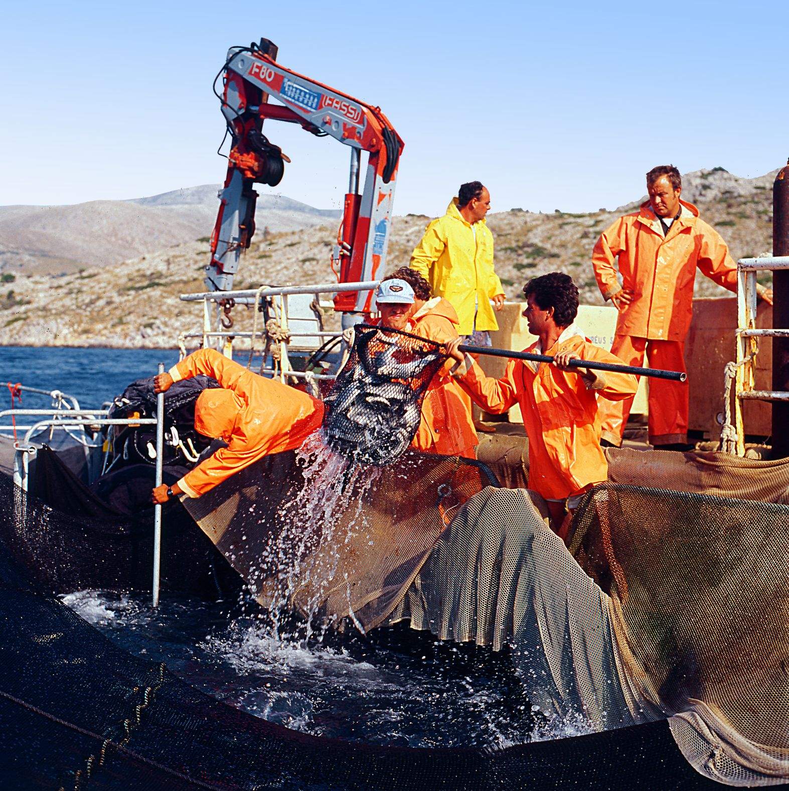 Οι τράπεζες στον έλεγχο, οι παλαιοί μέτοχοι στη διοίκηση