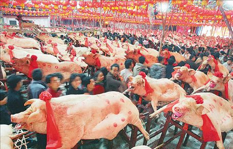 Η «θυσία των χοίρων» για καλή σοδειά