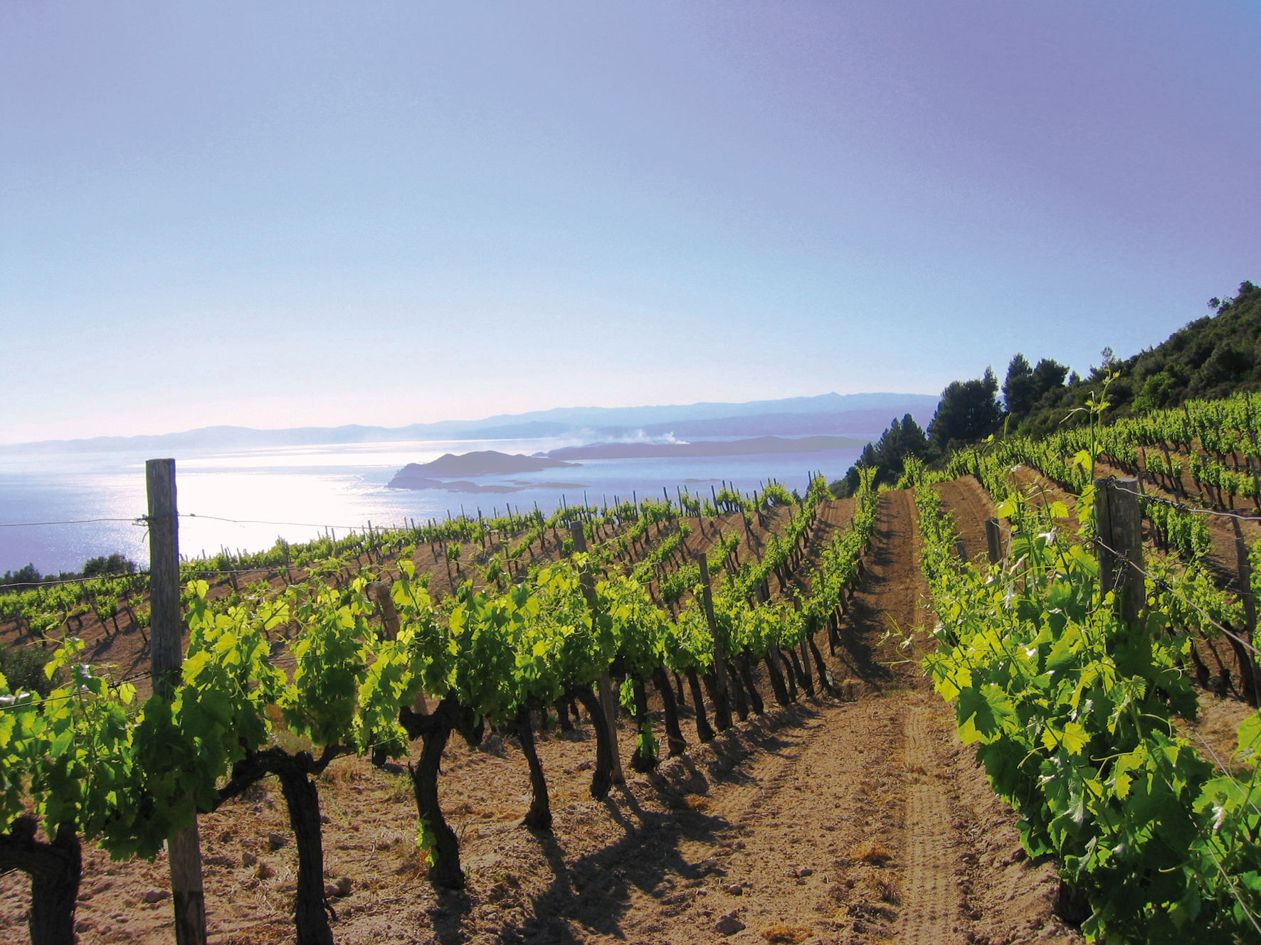 Οινικές διαδροµές στη Βόρεια Ελλάδα