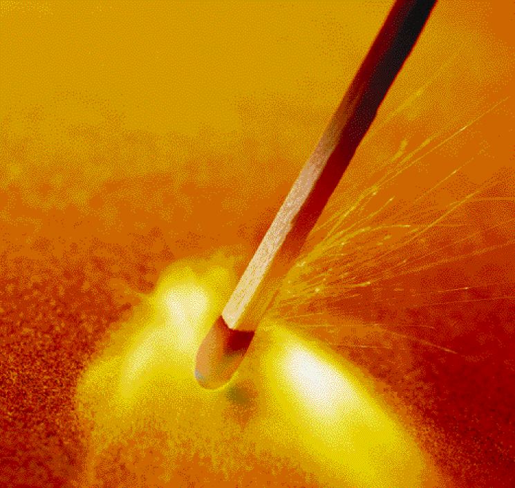 20 αφελείς ερωτήσεις για τα δάση και τις φωτιές