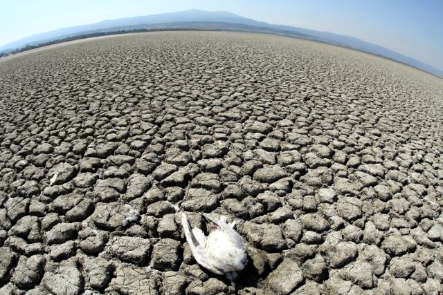Εξακόσιες χιλιάδες ευρώ για την Κορώνεια