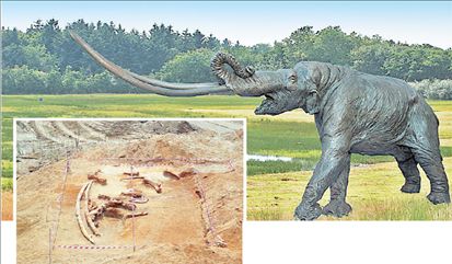 Γιγαντιαίος ελέφαντας στα Γρεβενά