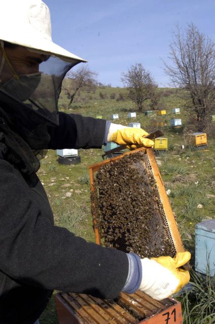 Ενισχύσεις 6,2 εκατ. ευρώ για τη μελισσοκομία