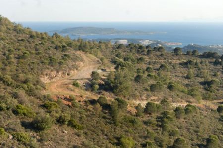 Προωθούνται αλλαγές στους δασικούς συνεταιρισμούς