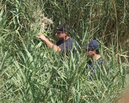 Εξάρθρωση κυκλώματος ναρκωτικών στη Μεσσηνία