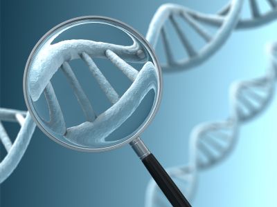 Γενετική ανάλυση «γίγας» ενάντια στις αναπτυξιακές διαταραχές