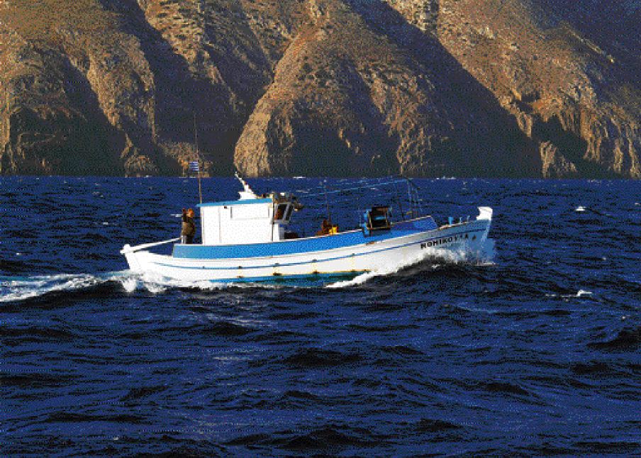 Είδος υπό εξαφάνιση στις ελληνικές θάλασσες