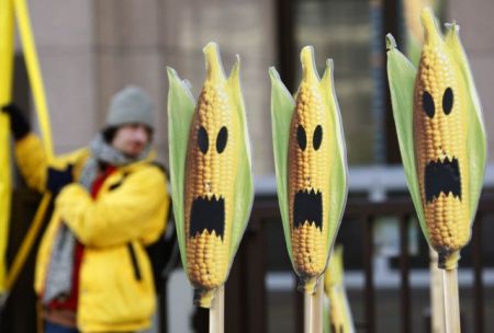 Πρόστιμα €100.000 – 500.000 για όποιον καλλιεργεί «μεταλλαγμένα»