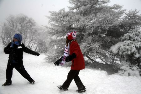 Σε κλοίο κακοκαιρίας η χώρα – Πού εντοπίζονται προβλήματα στην ηλεκτροδότηση – Πού είναι απαραίτητες οι αλυσίδες