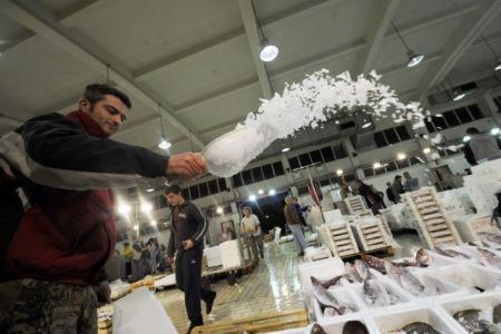 Περιφέρεια Πειραιά: Δεν έχουν εντοπιστεί αλιεύματα μολυσμένα από πετρελαιοειδή