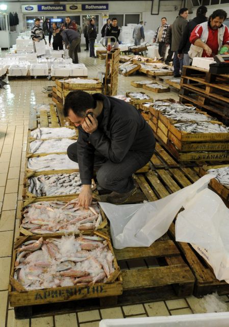 Στο μικροσκόπιο Σαρωνικός και ιχθυόσκαλα Κερατσινίου