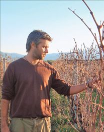 Δεκάδες δικηγόροι βγάζουν τον μήνα με το μέρισμα…