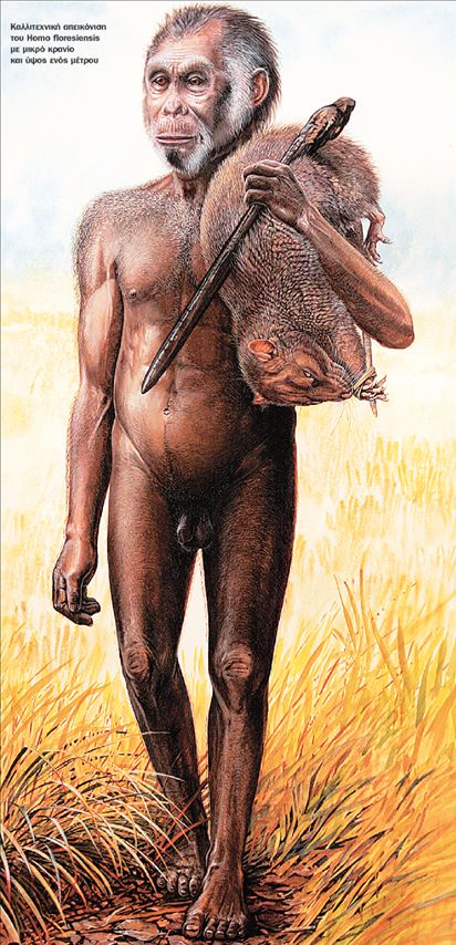 Μικροκέφαλοι και νάνοι