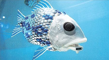 Ψάρι-ρομπότ εναντίον της ρύπανσης | tovima.gr