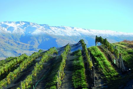 Βόρειοι και Νότιοι (οίνοι)