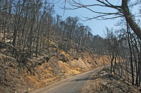 Δεν υπάρχει ενεργό μέτωπο φωτιάς στη Φρίξα Ηλείας