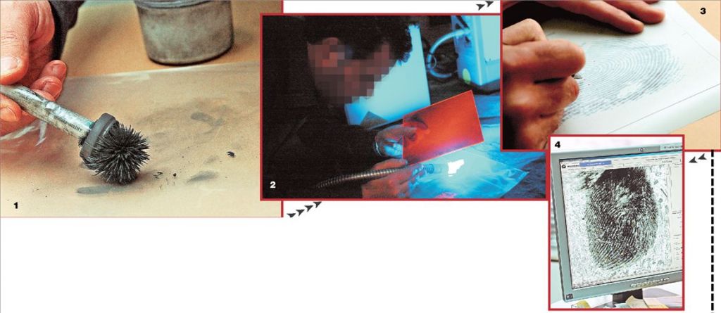 Εξ όνυχος τον λέοντα…